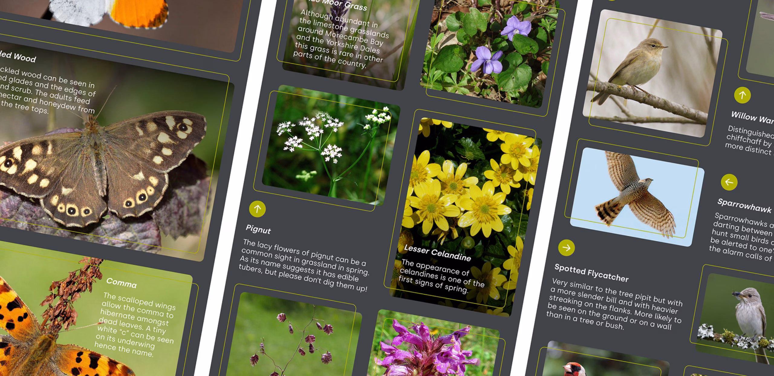 A Guide to Interpretation Signage: More Than Just Signs